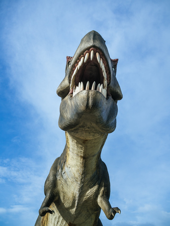 Dinosaur Tyrannosaurus Rex on blue sky background vertical style.の写真素材