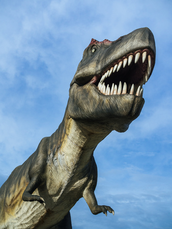 Dinosaur Tyrannosaurus Rex on blue sky background vertical style.の写真素材