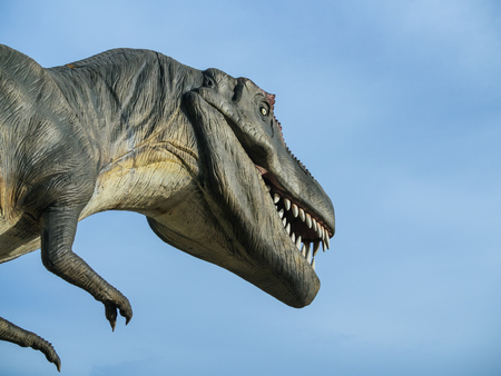 Dinosaur Tyrannosaurus Rex on blue sky background with space.の写真素材