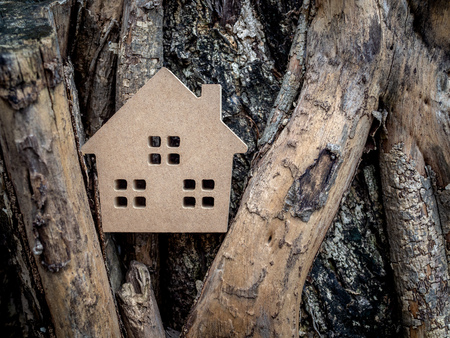 Wooden house on old wooden root texture background. Home ecology concept.の写真素材