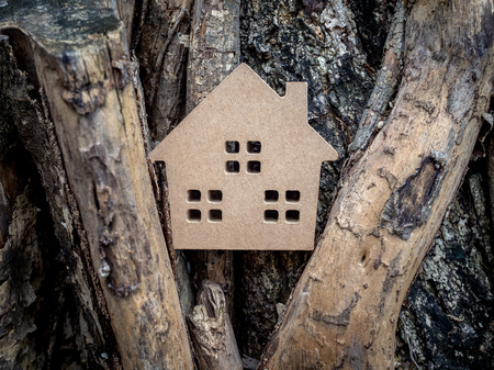 Wooden house on old wooden root texture background. Home ecology concept.の写真素材