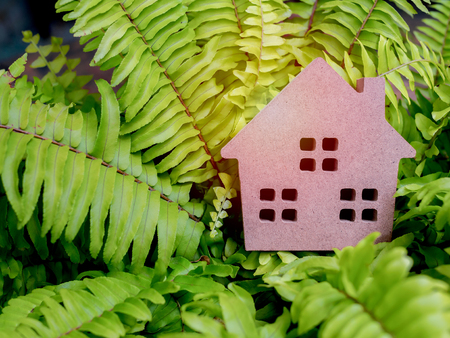 Wooden house on green fern plant background with copy space. Home ecology conceptの写真素材