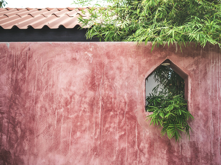 Red grunge bare concrete wall texture background with bamboo leaves with copy space.の写真素材