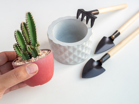 Hand holding cactus plant in red plastic pot with geometric concrete planter and garden tool set on white background, agriculture concept.の写真素材