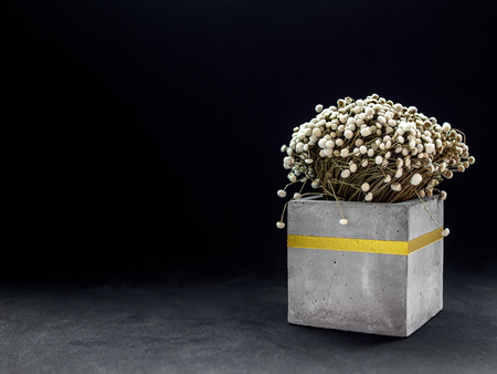 Modern cubic concrete planter with gold color bar flowers on dark background with copy space. Painted concrete pot for home decoration.の写真素材
