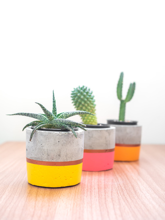 Colorful modern concrete planters with cactus plants on wooden table on white wall background vertical style. Painted concrete pots for home decoration minimalist style.の写真素材