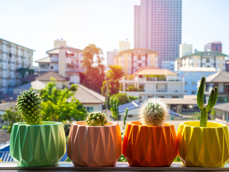 Colorful painted geometric concrete planters with cactus plant on the window on city background. Painted concrete pots for home decorationの写真素材