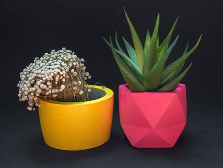 Beautiful various geometric concrete planters with dried flower on dark background. Colorful painted concrete pots for home decoration.の写真素材