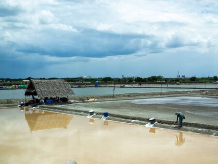 Samut Sakhon, Thailand - JUNE 16 2019 : Salt farmer shoveled salt crystal in the salt garden, salt farming in Samut Sakhon, Thailand.のeditorial素材