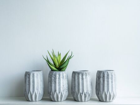 Concrete pots minimal style. Green succulent plant in modern geometric concrete planters on wooden...