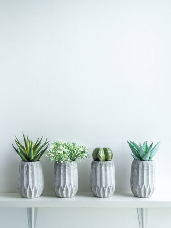 Concrete pots minimal style. Green cactus, white flowers and succulent plants in modern geometric concrete planters on wooden shelf isolated on white background with copy space vertical style.の写真素材