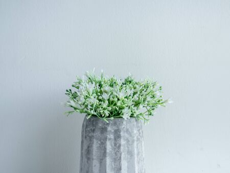 Concrete pot minimal style. Close-up white flowers in modern geometric concrete planter on wooden shelf isolated on white background.の写真素材