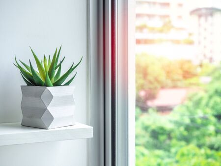 Concrete pot minimal style. Green succulent plant in modern geometric concrete planter on wooden white shelf near the window with sunshine.の写真素材