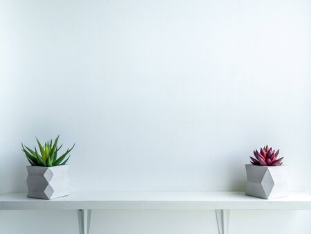 Concrete pot minimal style. Green and red succulent plant in modern geometric concrete planters on...