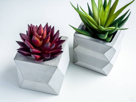 Concrete pot minimal style. Green cactus and red succulent plant in modern geometric concrete planters on white background.の写真素材