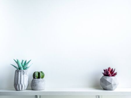 Concrete pot minimal style. Cactus and succulent plant in modern geometric concrete planters on wooden white shelf isolated on white background with copy space.の写真素材