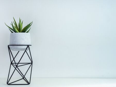 Cactus pot. Concrete pot with iron stand. Green succulent plant in modern standing planter isolated on white background with copy space.の写真素材
