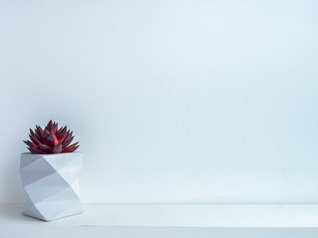 Cactus pot. Concrete pot minimal style. Red succulent plant in modern geometric concrete planter on wooden shelf isolated on white background with copy space.の写真素材
