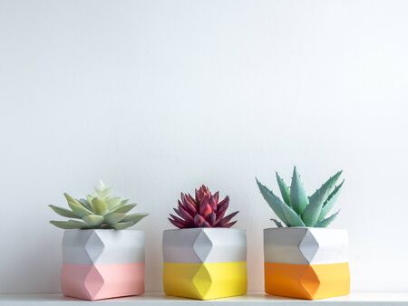 Cactus pot. Beautiful painted concrete pot. Red and green succulent plants in colorful modern triangle concrete planters on white wooden shelf on white wall background with copy space.の写真素材