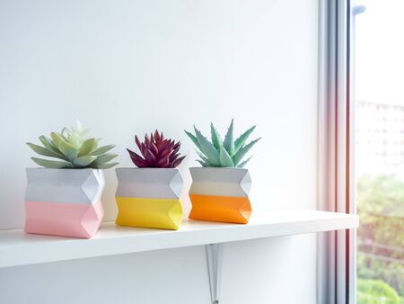 Cactus pot. Beautiful painted concrete pot. Red and green succulent plants in colorful modern triangle concrete planters on white wooden shelf on white wall near the window glass.の写真素材