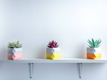 Cactus pot. Beautiful painted concrete pot. Red and green succulent plants in colorful modern triangle concrete planters on white wooden shelf on white wall background with copy space.の写真素材
