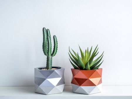 Cactus pot. Beautiful painted concrete pot. Green cactus and succulent plant in geometric concrete planters, copper and silver painted on white wooden shelf on white background.の写真素材