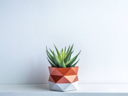 Cactus pot. Beautiful painted concrete pot. Green succulent plant in modern geometric concrete planter, copper painted on white wooden shelf on white wall background.の写真素材