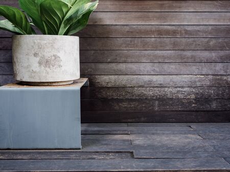Large round concrete planter or pot with green leaves on wood floor and wall background with copy space.の写真素材