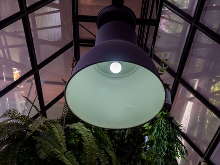 Modern ceiling light or light bulb hanging from ceiling in glass house construction building. Retro lighting decoration.の写真素材