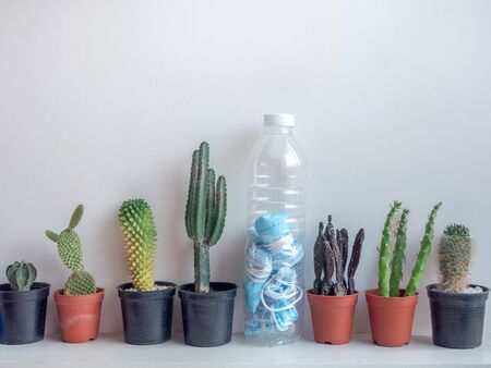 Used mask concept. Folded used protective face mask in plastic bottle with cactus plant on shelf....