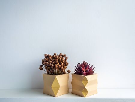 Cactus pot. Concrete pot. Two empty yellow modern geometric concrete planters with red succulent and dry flowers on white wooden shelf isolated on white background.の写真素材