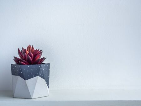 Cactus pot. Concrete pot. Grey painted modern geometric concrete planter with red succulent plant on white wooden shelf isolated on white background with copy space.の写真素材
