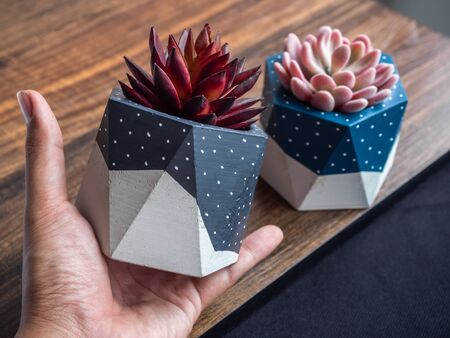 Cactus pot. Concrete pot. Hand holding grey painted modern geometric concrete planters with red succulent plant.の写真素材