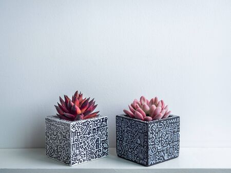 Cactus pot. Concrete pot. Empty white with modern graphic pattern geometric concrete planters with succulent plants on white wooden shelf isolated on white wall background.の写真素材
