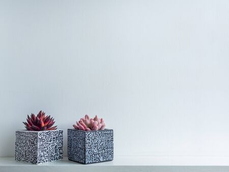 Cactus pot. Concrete pot. Empty white with modern graphic pattern geometric concrete planters with succulent plants on white wooden shelf isolated on white wall background with copy space.の写真素材
