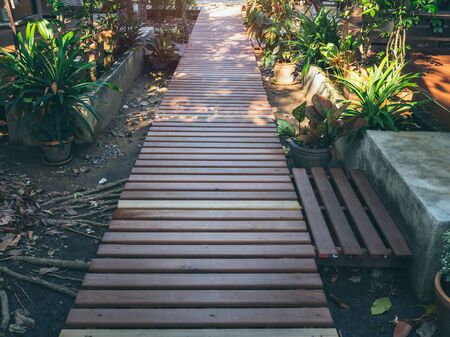 Wooden plank walkway between green garden in the house with sunshine in the morning.の写真素材