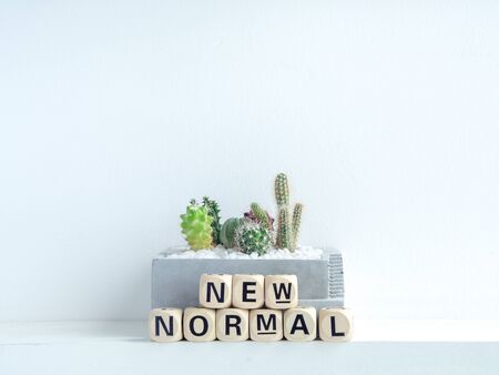 New Normal, word on wooden alphabet cube and cactus plants in concrete garden pots on shelf on white background with copy space.の写真素材