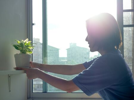 Beautiful happy asian woman holding and caring for green plants in pot near the window at apartment in the morning with sunlight, backlight and sun flare style.の写真素材