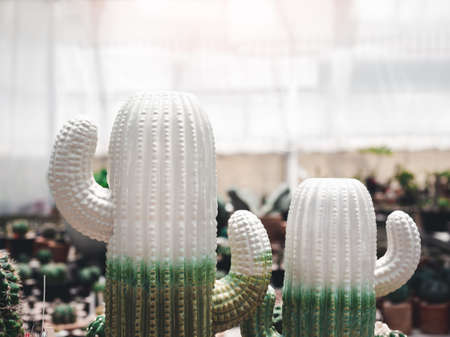 Two white and green cactus ceramic models decoration on house plant shop background with copy space.の写真素材