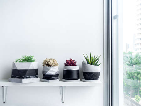 Green and red succulent plants and flowers in modern geometric concrete planters on white shelf on...