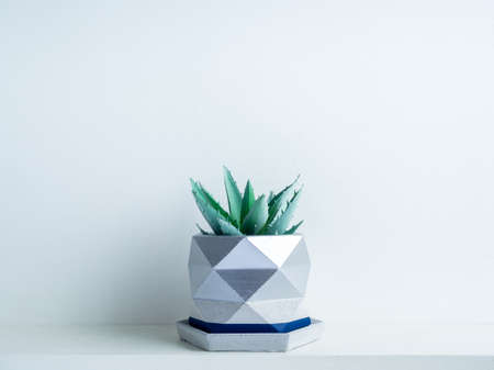 Green succulent plant in modern geometric concrete planter on white shelf isolated on white wall background. Beautiful blue and silver colour painted cement pot.の写真素材
