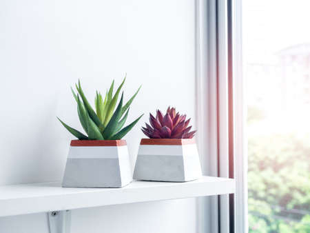 Green and red succulent plants in modern geometric concrete planters decoration on white shelf near window glass in apartment room with sunlight. Beautiful painted pyramid shaped cement pots.の写真素材