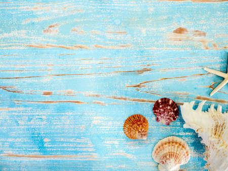 Beach accessories, various seashells on vintage blue wooden plank with copy space. Travel and vacation summer holiday background, top view.の写真素材