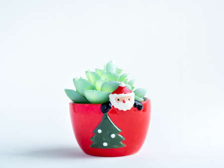 Christmas object concept, green succulent plant in red cute Santa Claus plant pot with christmas tree isolated on white background.の写真素材