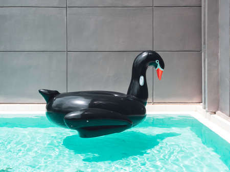 Black inflatable swan bird swim ring pool floating on summer pool near gray building wall background...