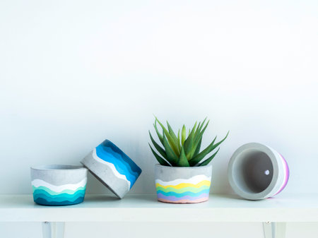 Colorful DIY round concrete pot with beautiful green succulent plant on a white wooden shelf on...