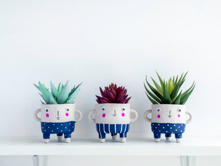 Cute face ceramic plant pots with green and red succulent plants on white wooden shelf isolated on white wall background with copy space. Three small modern DIY cement planters trendy decoration.の写真素材