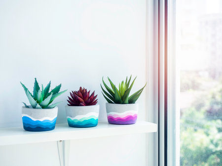 Colorful DIY round concrete pots with green and red succulent plants on a white wooden shelf on white wall near glass window with copy space. Three unique colorful color painted cement planters.の写真素材