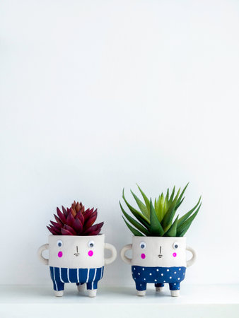 Cute face ceramic plant pots with green and red succulent plants on shelf isolated on white wall background with copy space, vertical style. Two small modern DIY cement planters trendy decoration.の写真素材