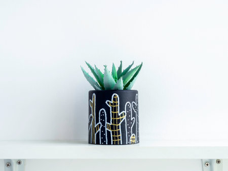DIY round shape concrete pot with cactus drawing with green succulent plant isolated on a white wooden shelf on white wall background with copy space. Unique color painted cement planter.の写真素材